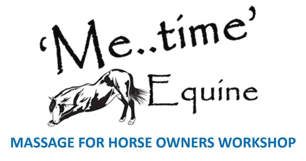 Equine Massage Workshop
